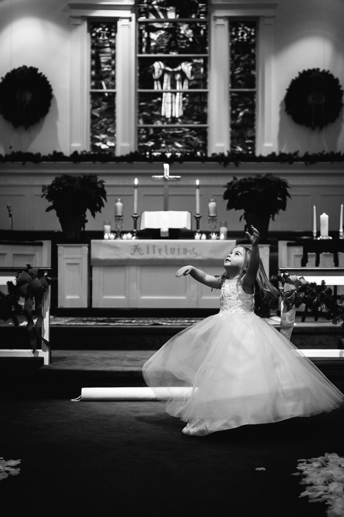 Trung Phan Photography