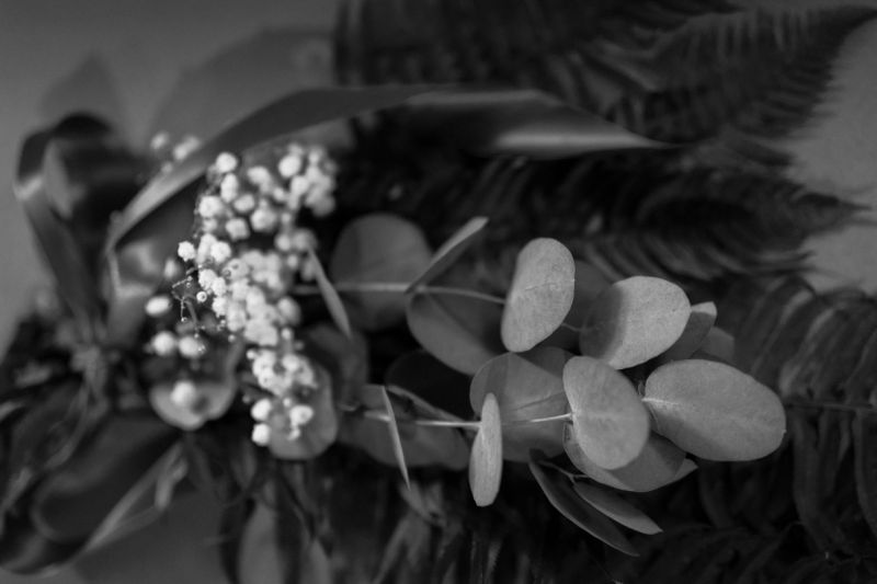 Trung Phan Photography