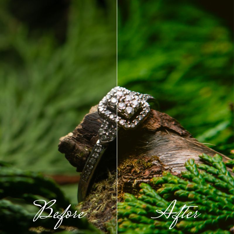 | Trung Phan Photography