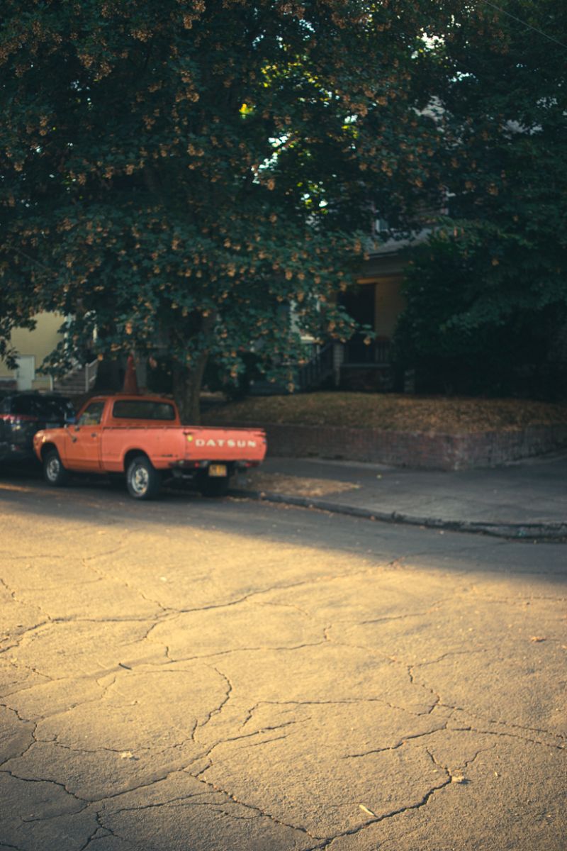 | Trung Phan Photography